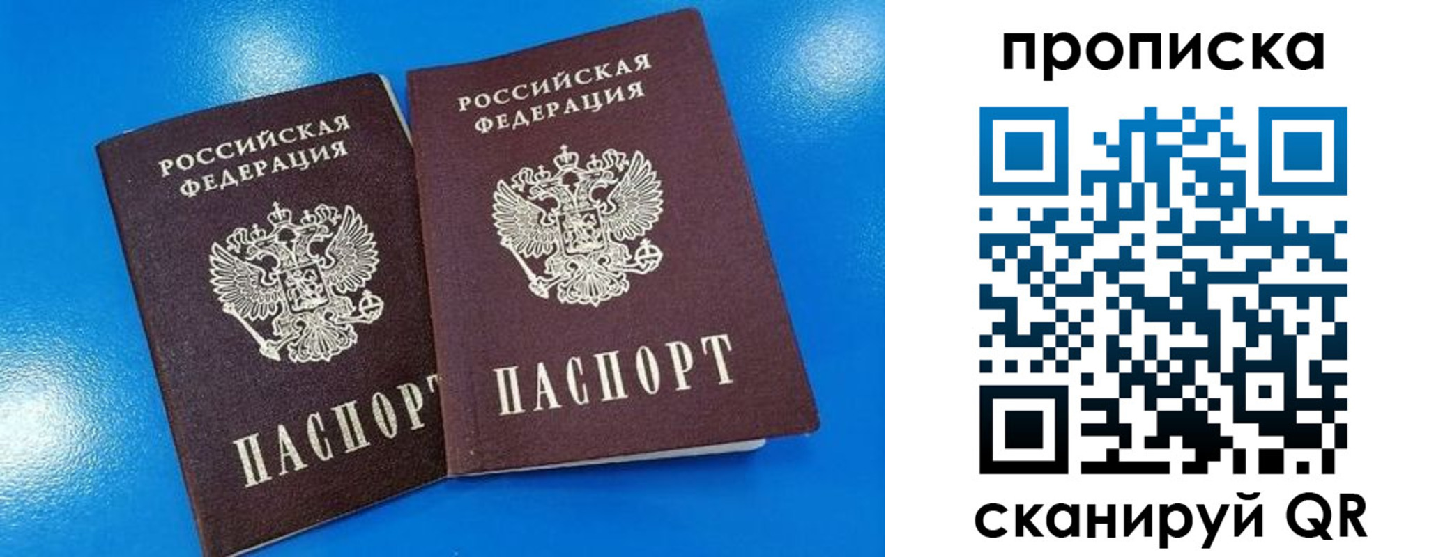 прописка для школы в Нововоронеже